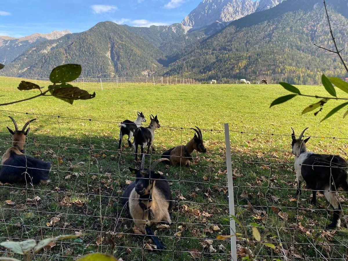 Evelyn - Haus Karwendel, Ferienwohnung Mittenwald 0*,